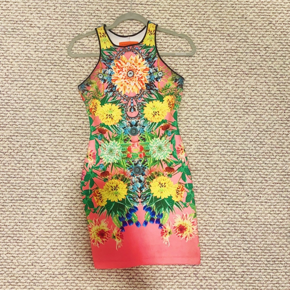 Clover Canyon Dress
